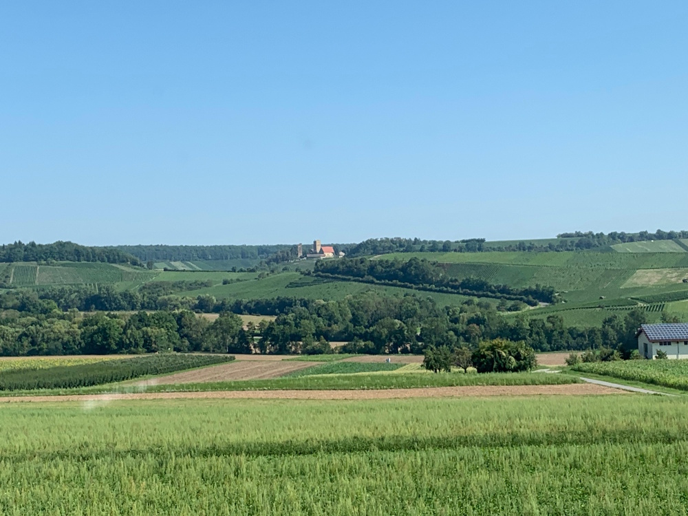 Wino Bio Biokistenlieferant Brackenheim Zabergäu